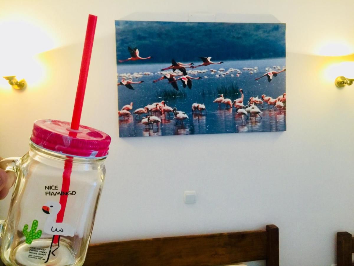 Апартаменты Apartments Flamingo Улцинь-28